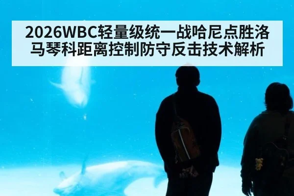 2026WBC轻量级统一战哈尼点胜洛马琴科距离控制防守反击技术解析